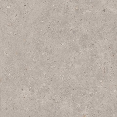 Риккарди серый светлый матовый обрезной 60x60