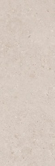 Риккарди серый светлый матовый обрезной 40x120