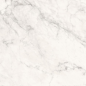 AE CAL6 120 LP (п.п.)ZZ |120x120