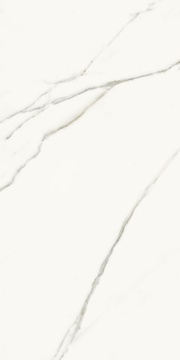 AE EXT6 12 LP (п.п.) ZZ 60x120