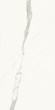 AE EXT6 12 LP (п.п.) ZZ 60x120