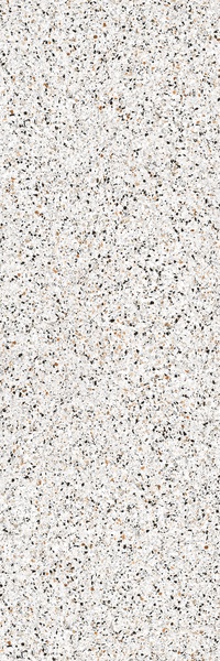 Terrazzo Bianco Venezia 5,6 mm |100x300