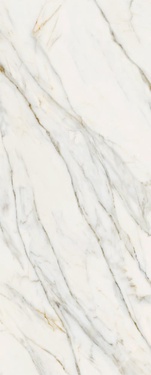 Calacatta Gold ZZ 5,6 120x300