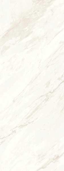 Marble white shine Ret. ZZ |45x119