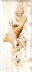 Декор Starfish (средние) XX20x45