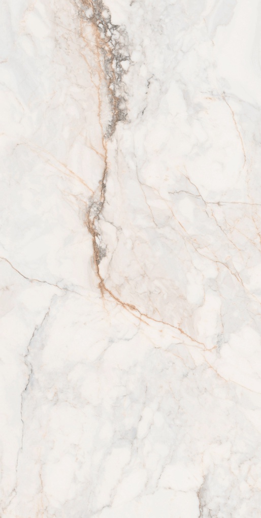 CR Pisa Gold Compglass (п.п.)ZZ |60X120
