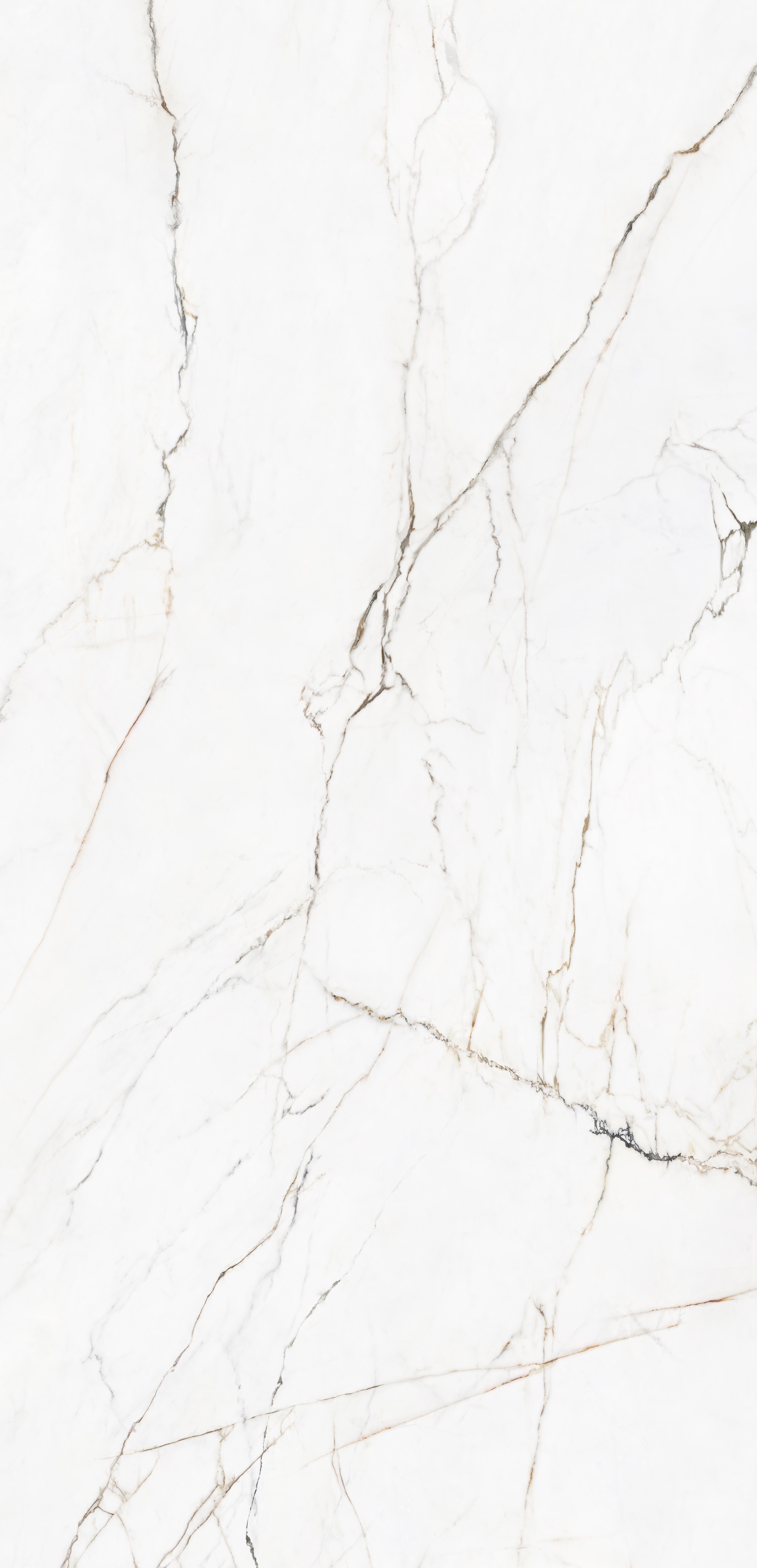 Cr.Torano Lux Dorado 6 мм pol/rett  XX |120X260