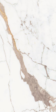 Les Origines Or Glossy ZZ 60x120