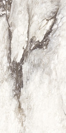 Etoile Renoir Glossy KL 120x240