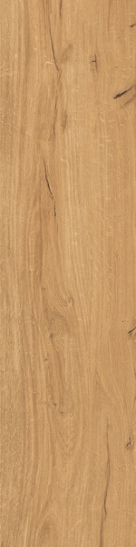 Feelwood Cognac  ZZ 30x120