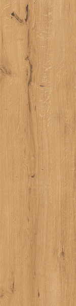 Feelwood Cognac  ZZ 30x120