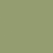 Моноколор зеленый ZZ|40x40